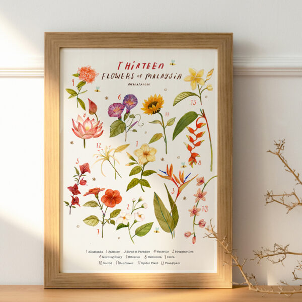 13 FLOWERS OF MALAYSIA